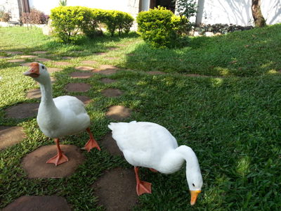 Family Meeting